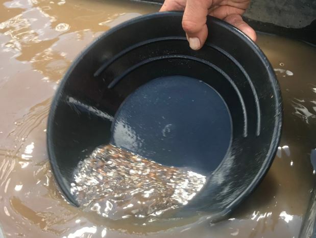 Gold Pan 34 cm 14 inch Black Plastic Gem Fossicking Panning Prospecting Detector